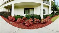 Courtyard Suwanee By Marriott Hotell Exteriör bild